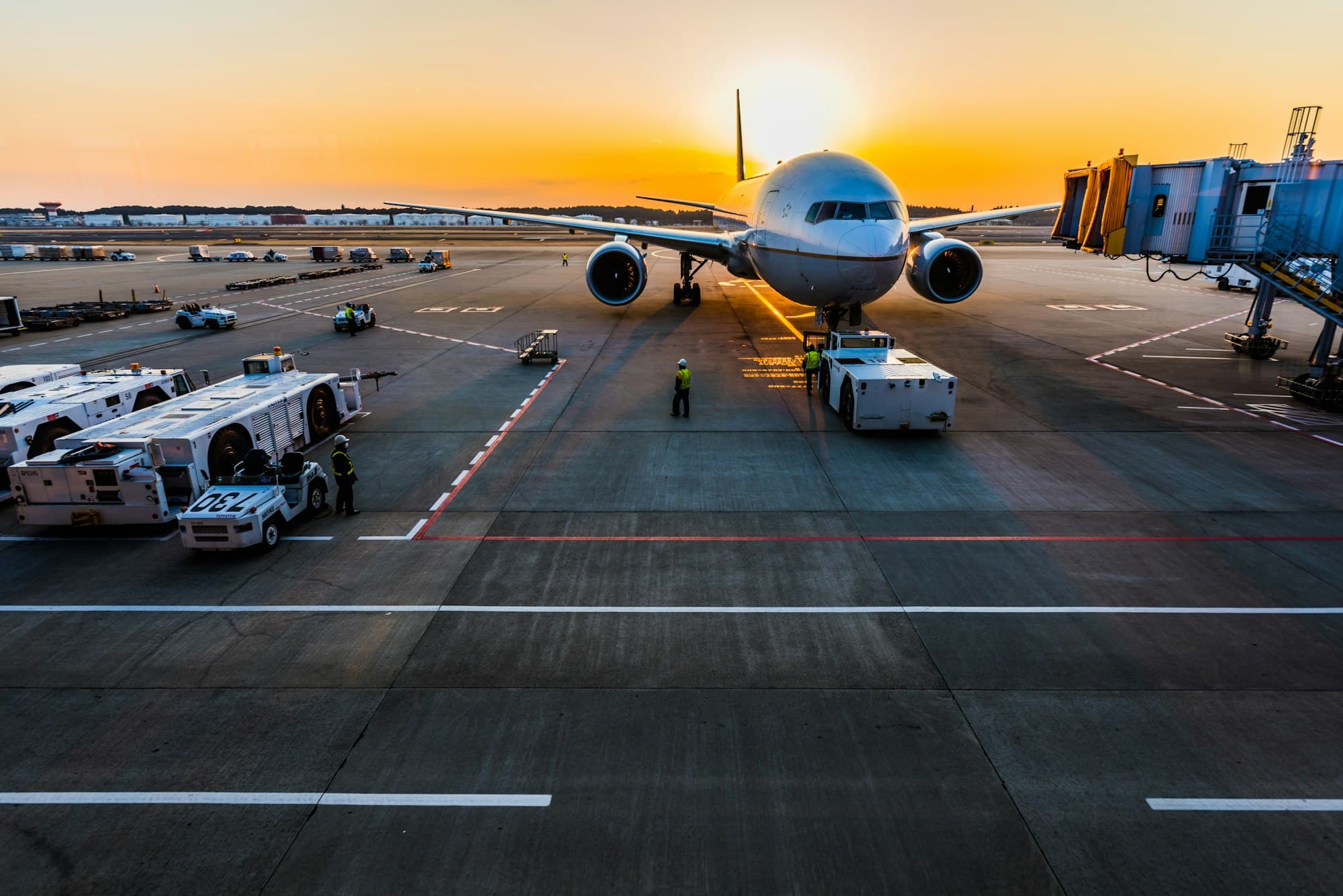Global Perspectives & Immigration Insights - Surya Overseas